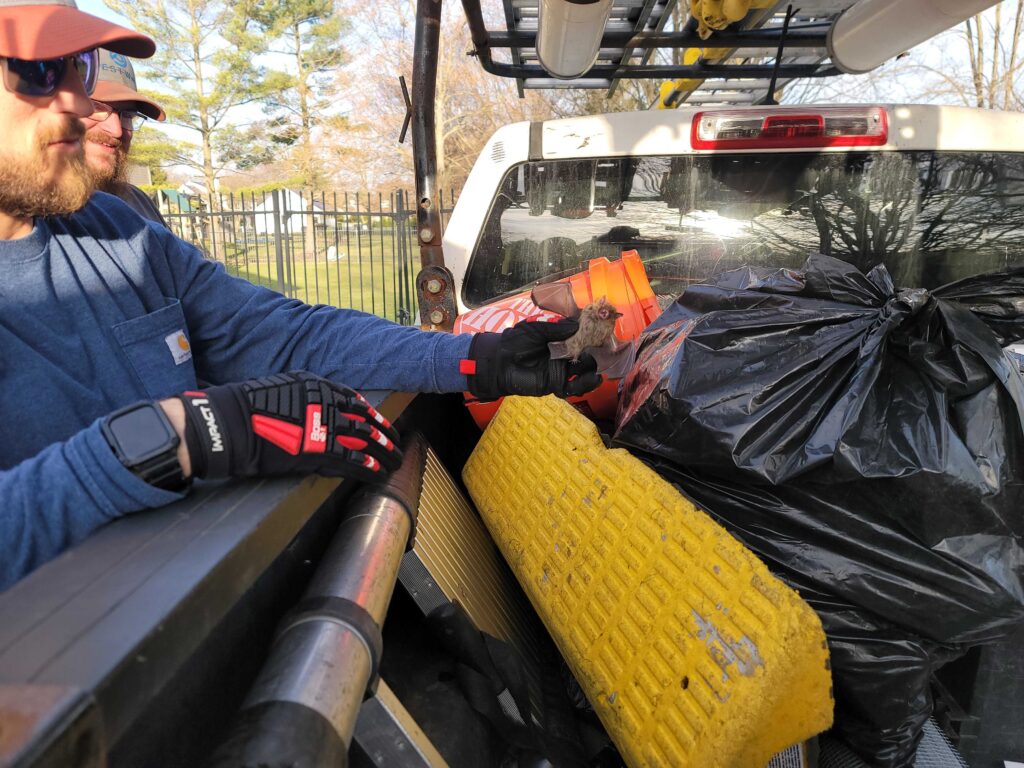 Damage Control Limited